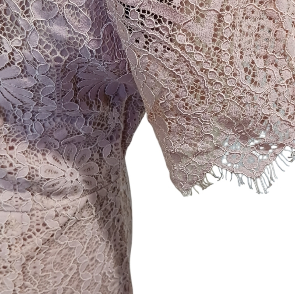 Lace Sheath Cocktail Dress Blush Pink - Picture 4 of 11
